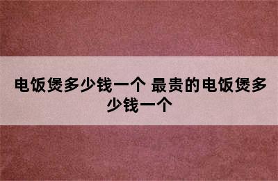 电饭煲多少钱一个 最贵的电饭煲多少钱一个